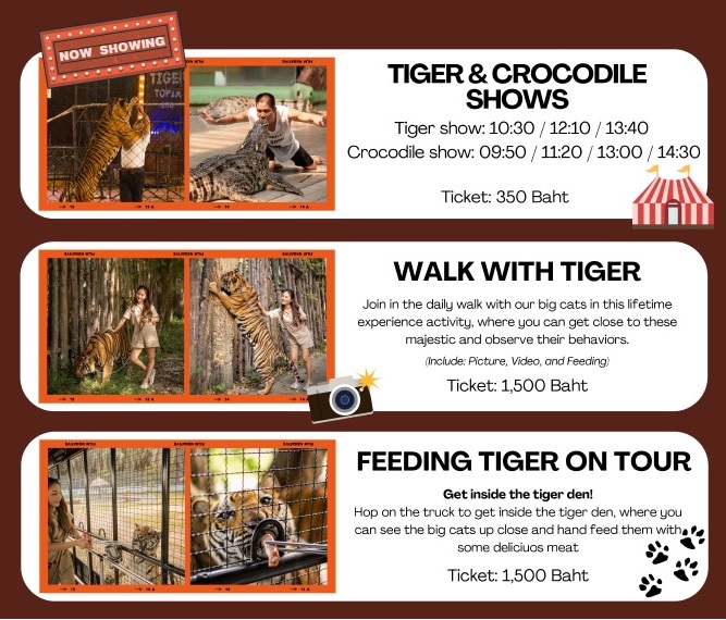 TIGER TOPIA (SRIRACHA TIGER ZOO INCLUDING ENTRANCE/TIGER SHOW/CROCODILE SHOW)
